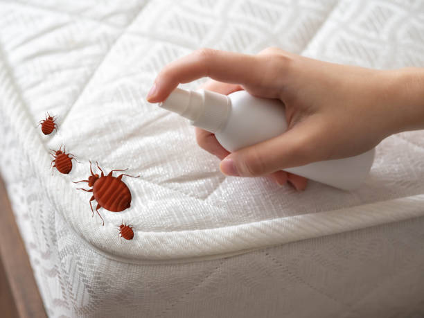 Wasp Removal Services in Porter, IN