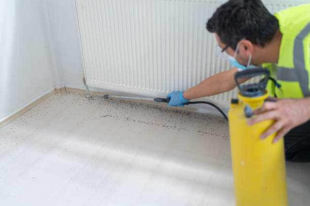 Best Pest Prevention Services  in Porter, IN